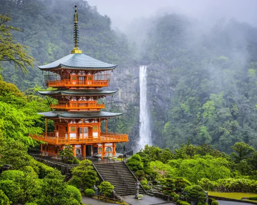 Kyoto Tea Pilgrimage