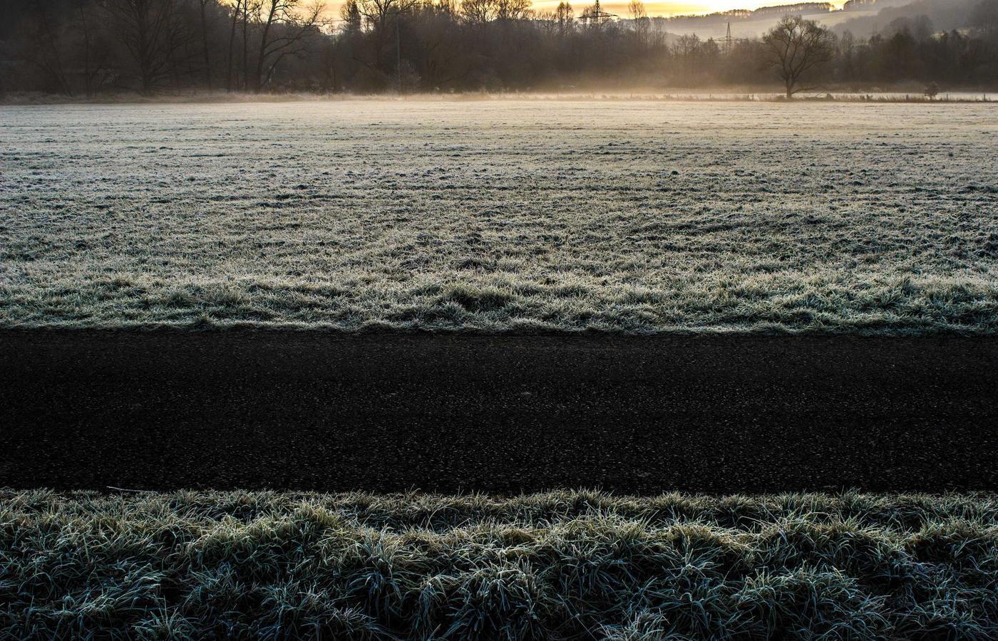 Solstice Reset — Online